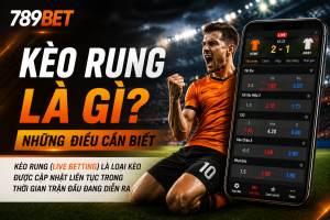 Người chơi theo dõi kèo rung trực tiếp trong trận đấu bóng đá